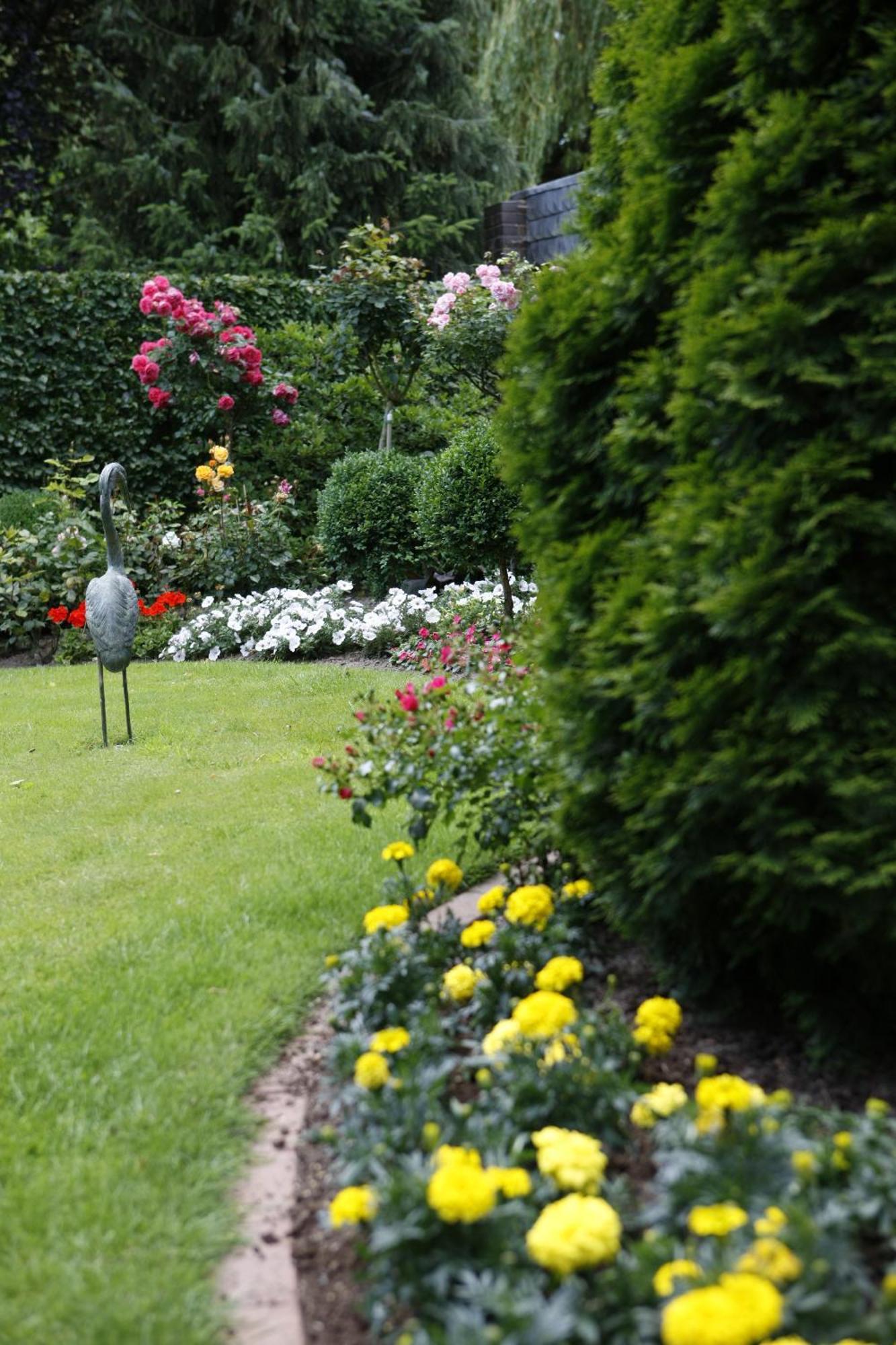 Pension Haus Wernemann Hotel Bad Rothenfelde Exterior photo