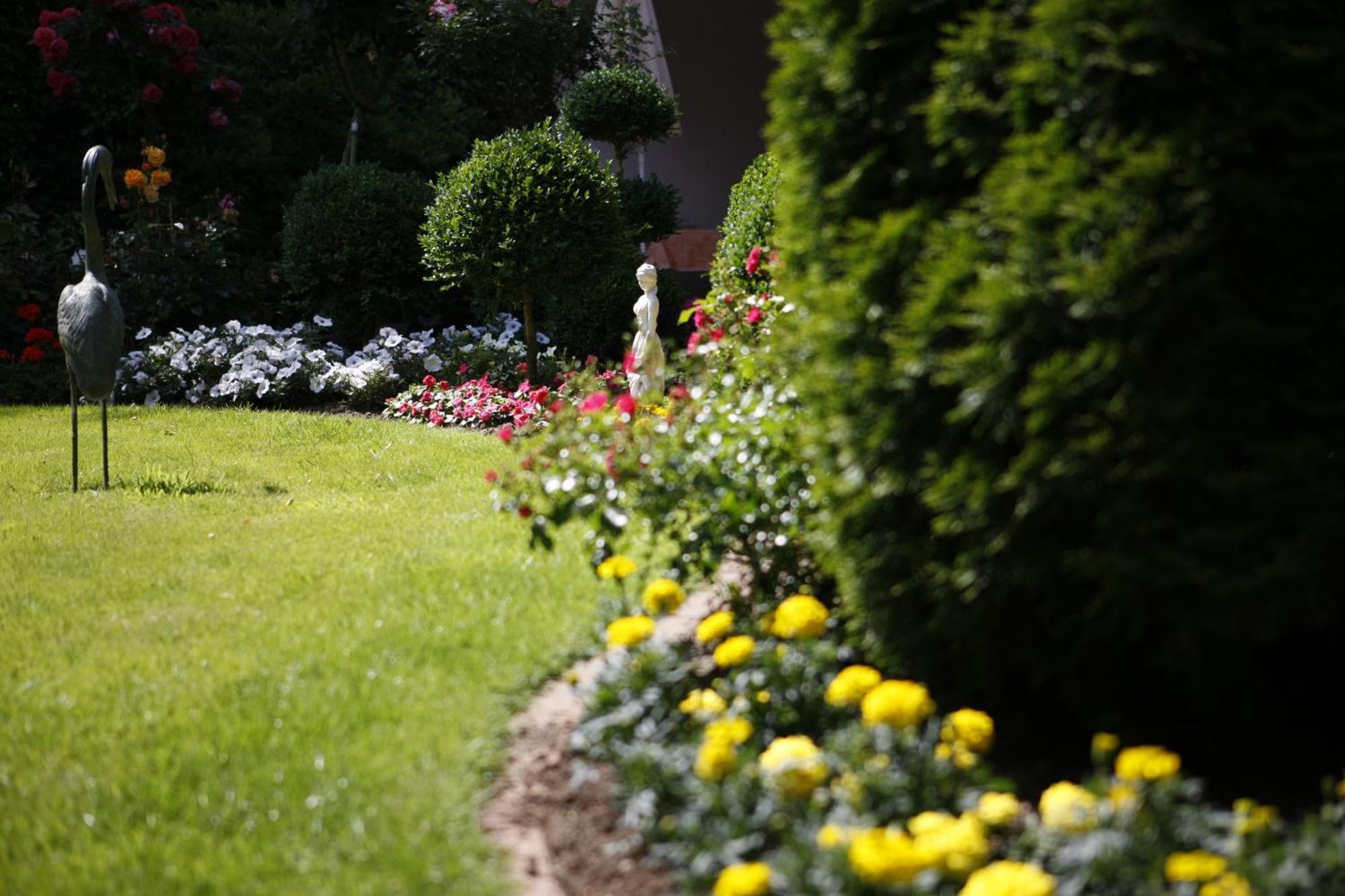 Pension Haus Wernemann Hotel Bad Rothenfelde Exterior photo